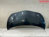 Engine bonnet/hood