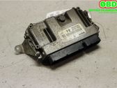 Engine control unit/module ECU