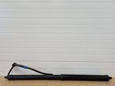 Tailgate/trunk strut/damper