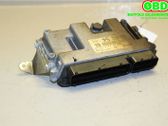 Engine control unit/module ECU