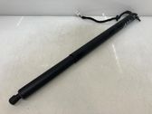 Tailgate/trunk strut/damper
