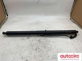 Tailgate/trunk strut/damper