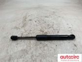 Gasdruckfeder Dämpfer Motorhaube