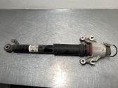 Stoßdämpfer hinten
