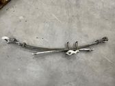 Rear coil spring