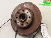 Front wheel hub spindle knuckle