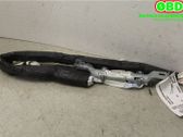 Roof airbag