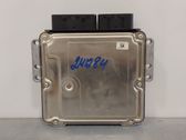 Engine control unit/module ECU