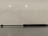 Tailgate/trunk strut/damper