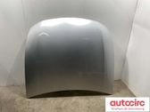 Engine bonnet/hood