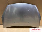 Engine bonnet/hood
