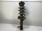 Front shock absorber with coil spring
