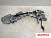 Front bonnet/hood damper/strut