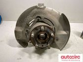 Front wheel hub spindle knuckle