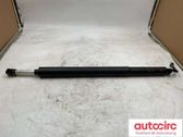 Tailgate/trunk strut/damper