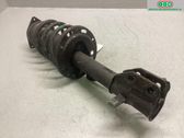 Front shock absorber with coil spring