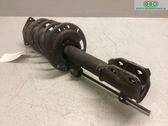 Front shock absorber with coil spring