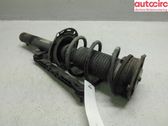 Front shock absorber with coil spring