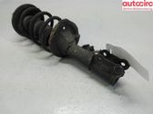 Front shock absorber with coil spring