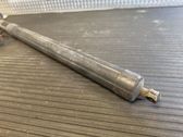 Tailgate/trunk strut/damper