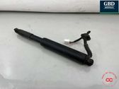 Tailgate/trunk strut/damper