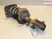 Front shock absorber with coil spring