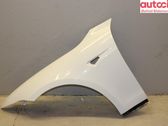 Fender