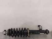 Rear shock absorber with coil spring