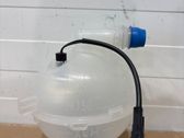 Fuel expansion tank