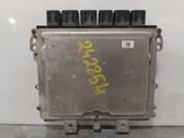 Engine control unit/module ECU