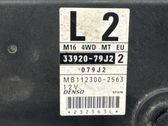 Engine control unit/module ECU