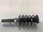 Front shock absorber with coil spring