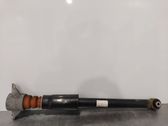 Rear shock absorber/damper