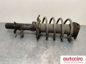 Front shock absorber with coil spring