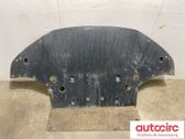 Unterfahrschutz Unterbodenschutz Motor