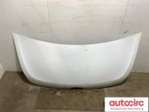 Engine bonnet/hood