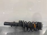 Front shock absorber with coil spring