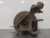 Rear wheel hub spindle/knuckle