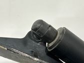 Tailgate/trunk strut/damper