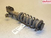 Front shock absorber with coil spring