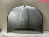 Motorhaube
