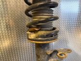 Front shock absorber with coil spring