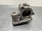 Throttle body valve