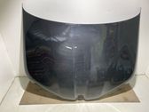 Engine bonnet/hood