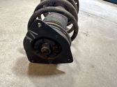 Front shock absorber with coil spring