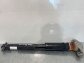 Rear shock absorber/damper