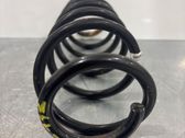 Rear coil spring rubber mount