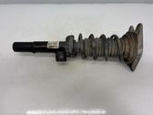 Front shock absorber with coil spring