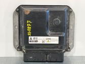 Engine control unit/module ECU