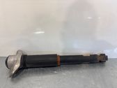 Stoßdämpfer hinten